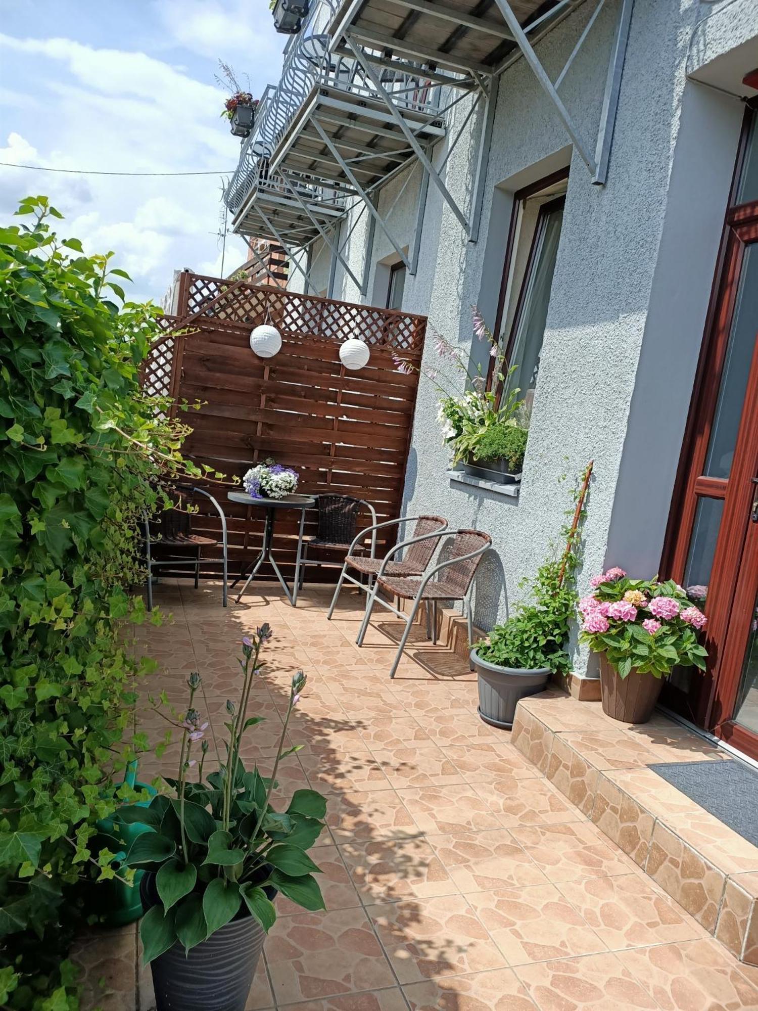 Nikola Chlapowo Homestay *